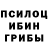 Галлюциногенные грибы Psilocybe Alena Kharchanka