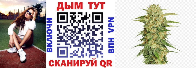 Бошки Шишки VHQ  где найти наркотики  Бабушкин 